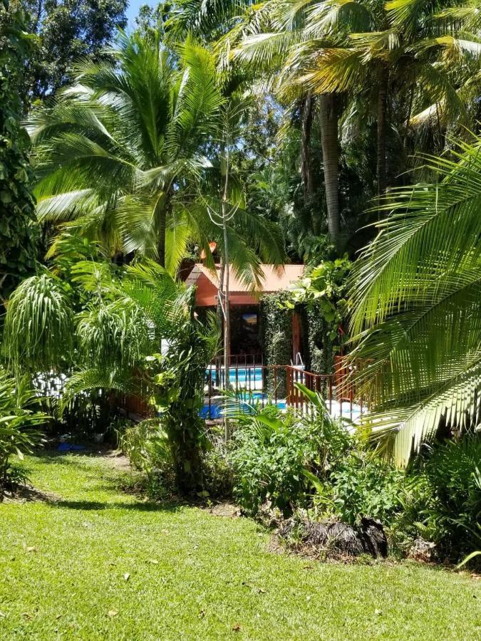 Plasencia Estate Omoa Exterior photo